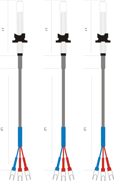 Platinum Resistance Temperature Sensor